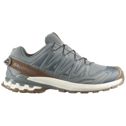 Încălțăminte bărbați Salomon Xa Pro 3D V9 Gore-Tex Lifelong