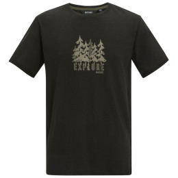 Tricou bărbați Regatta Cline IX negru BlkExplFrst
