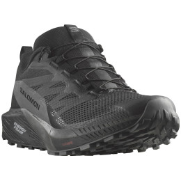 Încălțăminte de alergat pentru bărbați Salomon Sense Ride 5 Gore-Tex negru