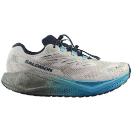 Încălțăminte bărbați Salomon Aero Blaze 4 Grvl Gtx