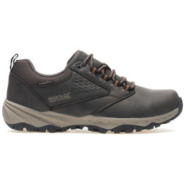 Încălțăminte bărbați Regatta Amble Low WP maro Peat/Tan