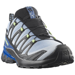Încălțăminte de alergat pentru bărbați Salomon Xa Pro 3D V9 GTX Icon