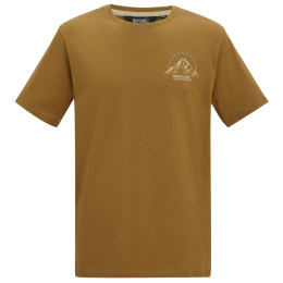 Tricou bărbați Regatta Cline IX maro RichTnOGOut