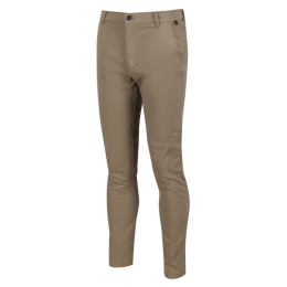 Pantaloni bărbați Regatta Sandros Trouser bej