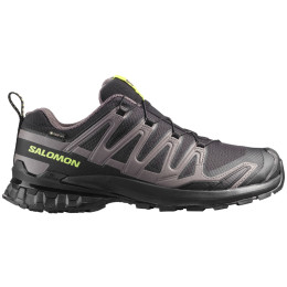 Încălțăminte turistică bărbați Salomon Xa Pro 3D V9 Gore-Tex
