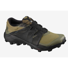 Încălțăminte bărbați Salomon Wildcross GTX
