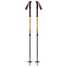 Bețe de schi Black Diamond Expedition JC