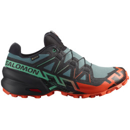 Încălțăminte de alergat pentru bărbați Salomon Speedcross 6 Gore-Tex albastru/verde North Atlantic / Black / Cherry Tomato