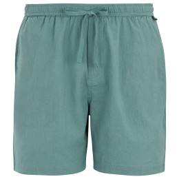Pantaloni scurți bărbați Regatta Hadlin Shorts albastru deschis Arctic