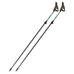 Bețe Nordic Walking Fizan Tekno Race Impulse gri Grey