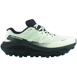 Încălțăminte de alergat pentru femei Salomon Ultra Flow 2 Gore-Tex