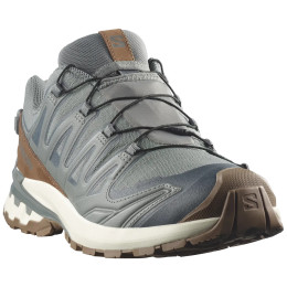 Încălțăminte bărbați Salomon Xa Pro 3D V9 Gore-Tex Lifelong