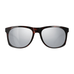 Ochelari de soare Vallon Ventures maro închis Dark tortoise