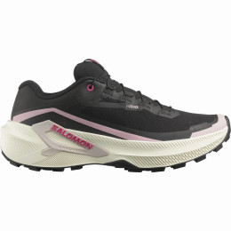 Încălțăminte de alergat pentru femei Salomon Genesis 2 Gtx W