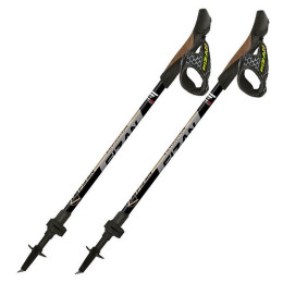 Bețe Nordic Walking Fizan R-Evolution Pro gri Grey/Beige