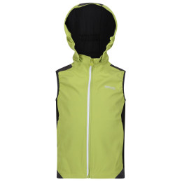 Vestă pentru copii Regatta Acidity B/W verde