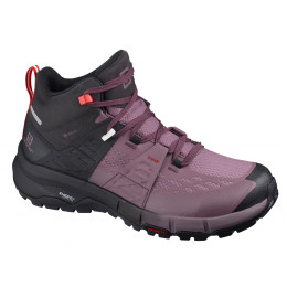 Încălțăminte femei Salomon Odyssey Mid GTX W