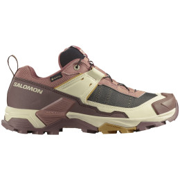 Încălțăminte femei Salomon X Ultra 5 Gore-Tex