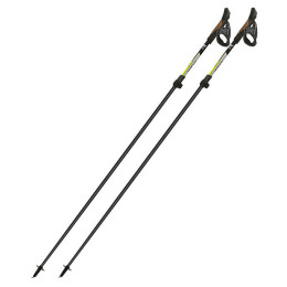 Bețe Nordic Walking Fizan Tekno
