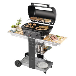 Grătar Campingaz El Prado 2200 Woody