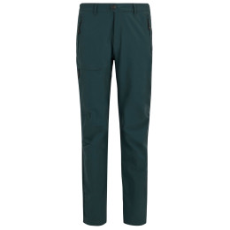 Pantaloni bărbați Regatta Highton Trousers II