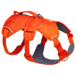Ham pentru câini Ruffwear Web Master™ Harness portocaliu/ Blaze Orange