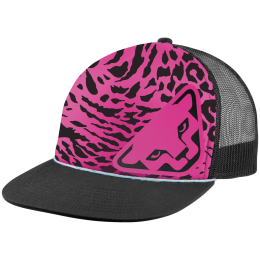Șapcă Dynafit Graphic Trucker Cap