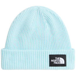 Căciulă The North Face Salty Lined Beanie