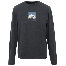 Tricou bărbați Regatta Maylow negru black