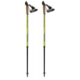 Bețe Nordic Walking Vipole Vario Dlx verde
