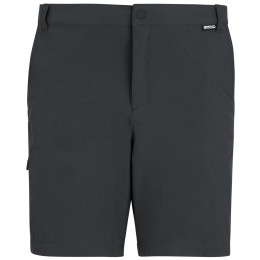 Pantaloni scurți bărbați Regatta Anti-Insect Travel Light Shorts gri Ash