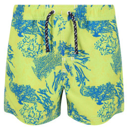 Pantaloni scurți copii Regatta Skander II verde / albastru