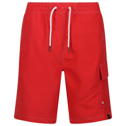 Pantaloni scurți bărbați Regatta Hotham BdShort IV