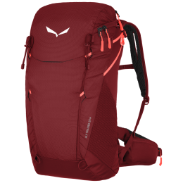 Rucsac Salewa Alp Trainer 20 Ws cărămiziu syrah