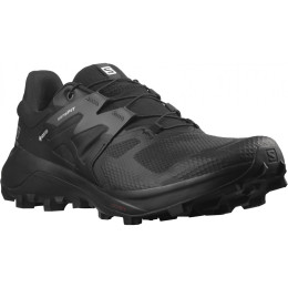 Încălțăminte bărbați Salomon Wildcross 2 Gore-Tex negru