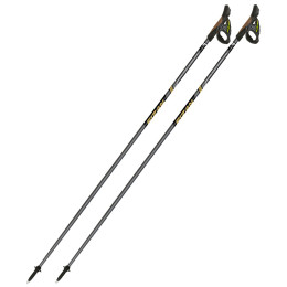 Bețe Nordic Walking Fizan NW Runner Gold