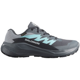 Încălțăminte femei Salomon Alphaglide Gore-Tex gri/albastru Turbulence / Aruba Blue / Dark Navy