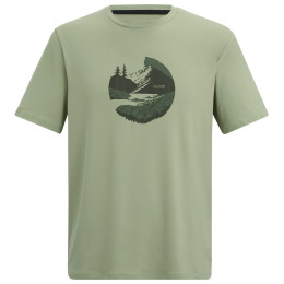 Tricou bărbați Regatta Fingal Stretch verde Light Sage