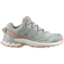 Încălțăminte femei Salomon Xa Pro 3D V9 Gore-Tex Lifelong