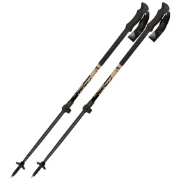 Bețe de schi alpinism Fizan Aria