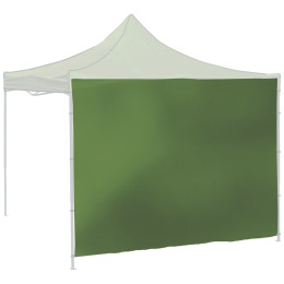 Perete de cort Cattara 2 x 3m 210D Waterproof verde green