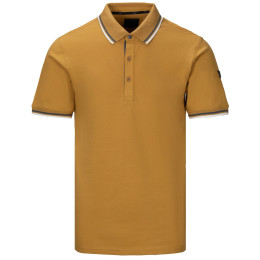 Tricou bărbați Regatta Adryan Polo maro dechis Wood Brown
