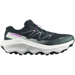 Încălțăminte de alergat pentru femei Salomon Ultra Flow 2 Gore-Tex