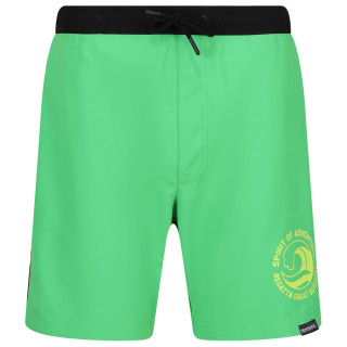 Costum de baie bărbați Regatta Bentham swim short verde Fairway Green/Black