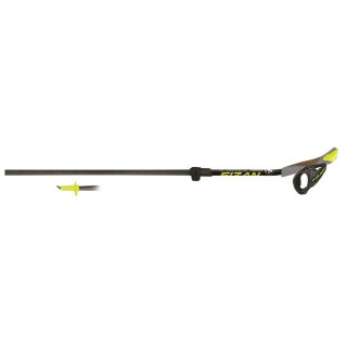 Bețe Nordic Walking Fizan Carbon Pro Impulse negru/verde