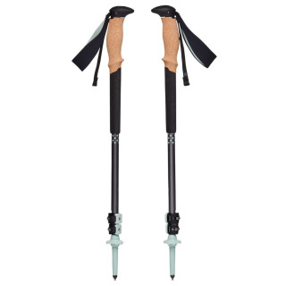 Bețe de trekking Black Diamond Pursuit Trekking Poles negru/verde