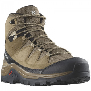 Încălțăminte bărbați Salomon Quest Rove Gore-Tex maro