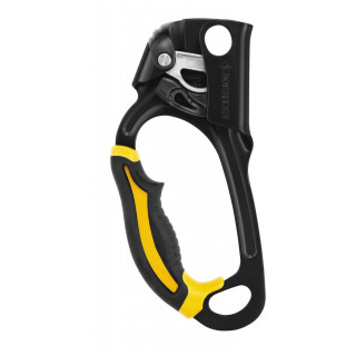 Petzl Ascension