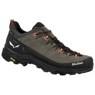 Încălțăminte turistică bărbați Salewa Alp Trainer 2 Gtx M maro