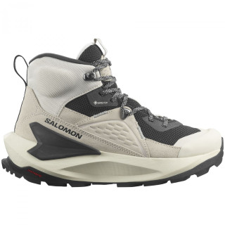 Încălțăminte femei Salomon Elixir Mid Gore-Tex